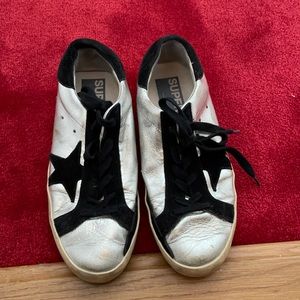 Black and silver golden goose